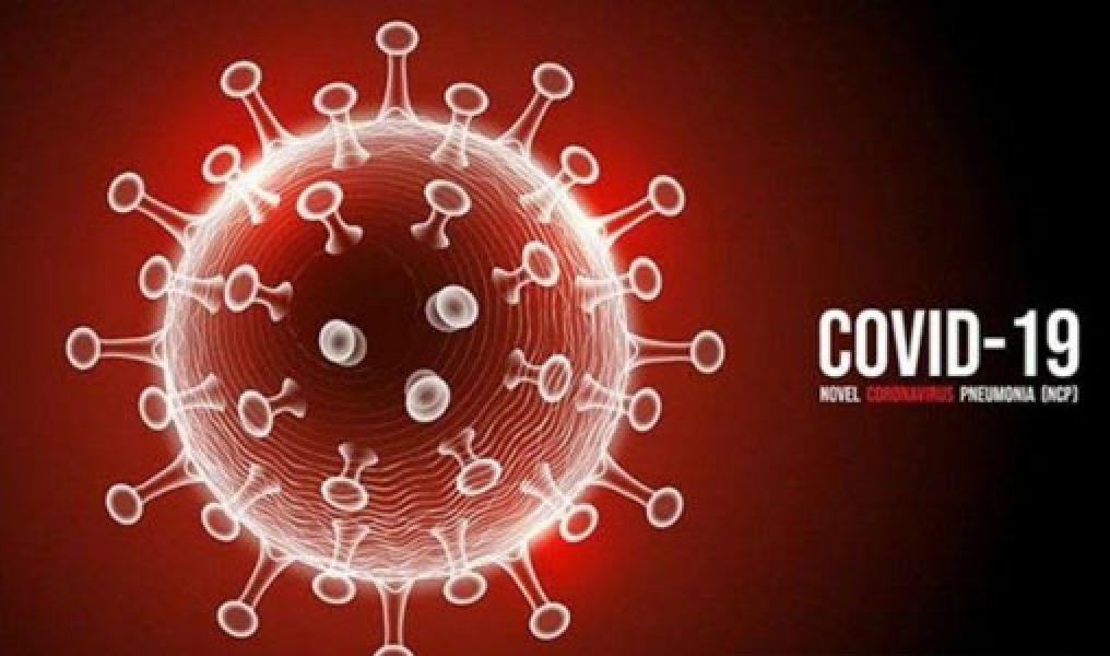 Update Covid-19 Riau, Tambah 50 Kasus Konfirmasi dan 4 Pasien Sembuh