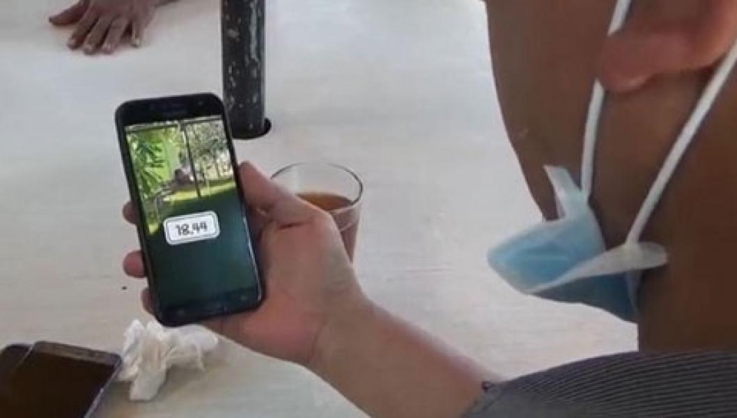 Viral, Sepasang Kekasih Nekat Berhubungan Seks di Taman Probolinggo