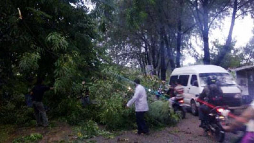 Angin Kencang Landa Kota Bagan, Pertanda Lepasnya Tuah Atuk?