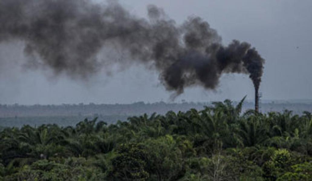 PKS PT MAS Diduga Cemari Sungai Kerumutan