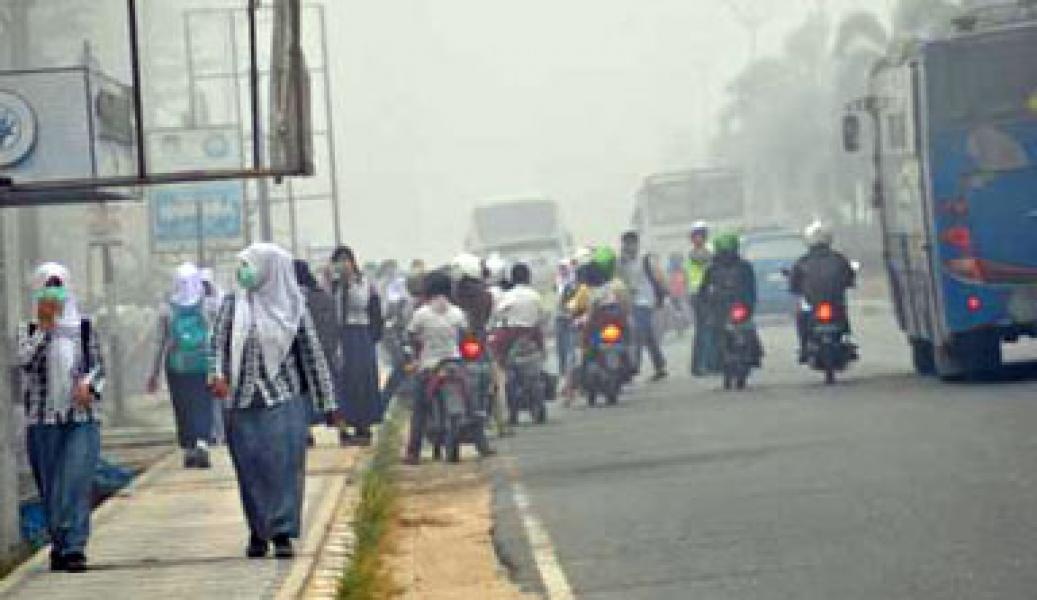 Pelalawan Kembali Diselimuti Kabut  Asap