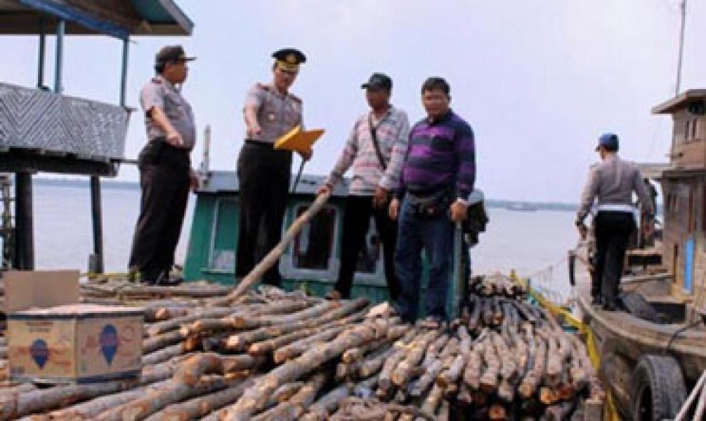 Proyek yang Didanai APBD Bengkalis Diduga Gunakan Kayu Ilegal
