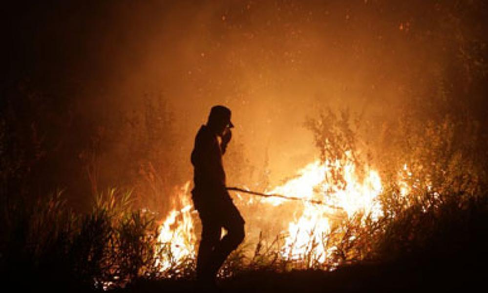 99% Kebakaran Hutan karena Ulah Manusia