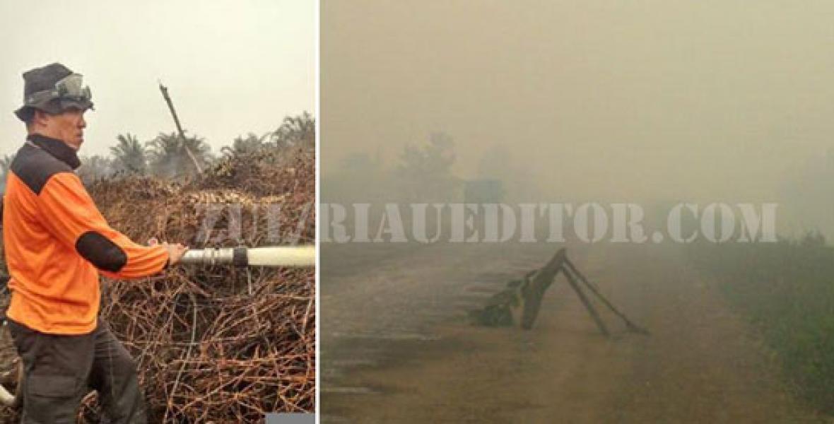 BPBPKD Pelalawan Fokus Padamkan Api di KM 10 Koridor RAPP dan Desa Rantau Baru