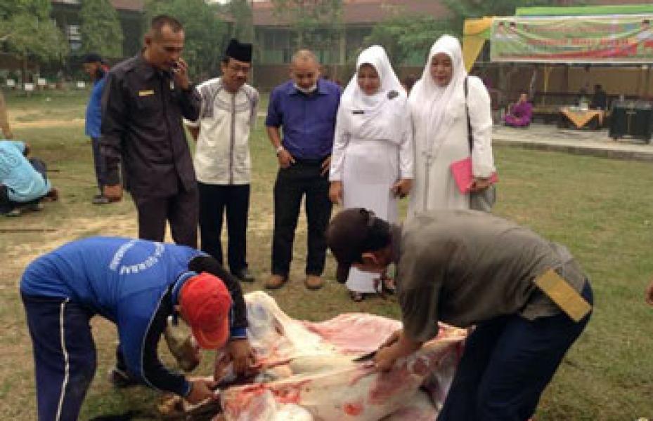 Bagikan 400 Kupon, SMAN 4 Pekanbaru Sembelih Enam Sapi