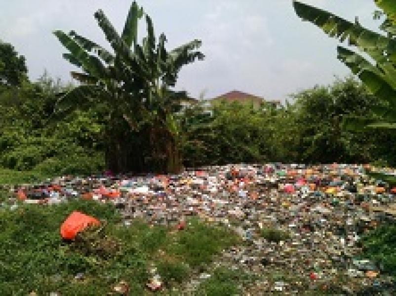 Joko: Curi Bunga dan Buang Sampah Sembarangan Akan Segera Diambil Tindakan 