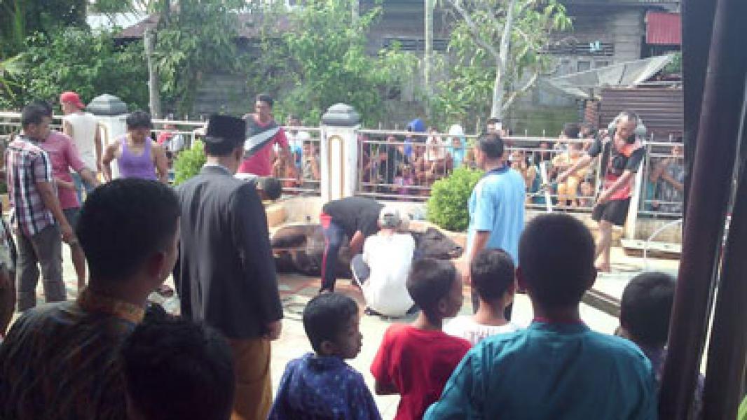 Momen Idul Adha, Bupati Suyatno Ingin Berbagi Dengan Kaum Dhuafa