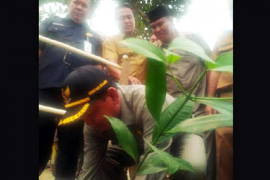 Pemkab Pelalawan Targetkan Langgam  Menuju Sentra Manggis 2020