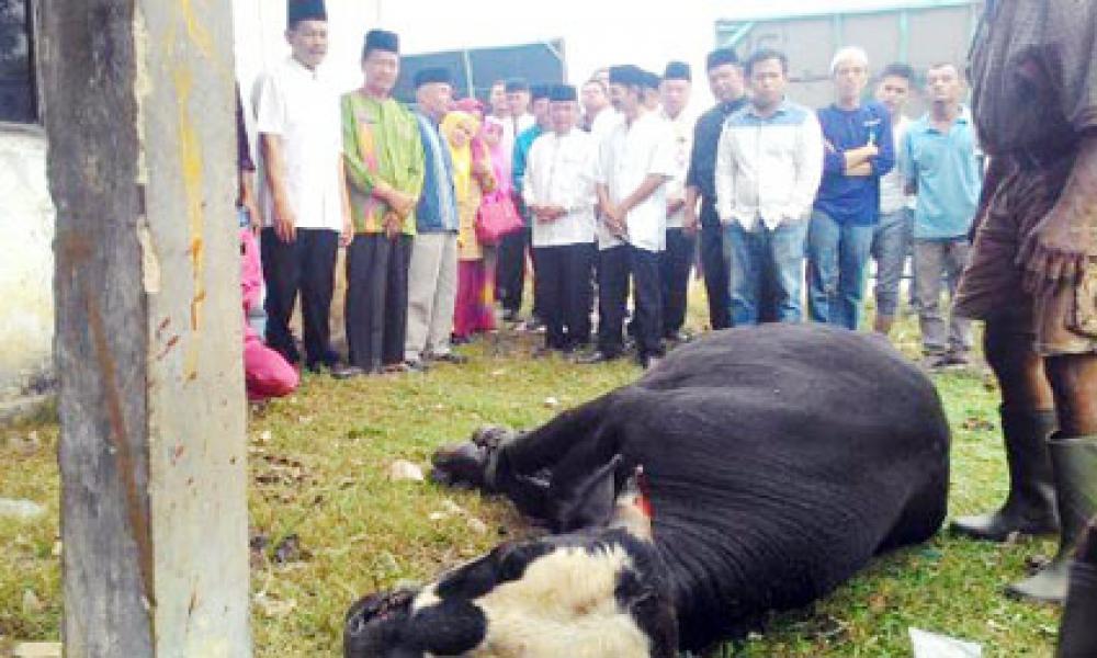 Peresmian Masjid Al Ikhlas Pasar Baru Kerinci Ditandai Penyembelihan Hewan Qurban