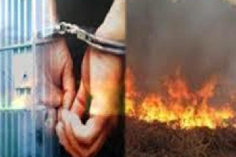 Polda Riau Tahan Direktur PT Langgam Inti Hibrindo Terkait Karhutla