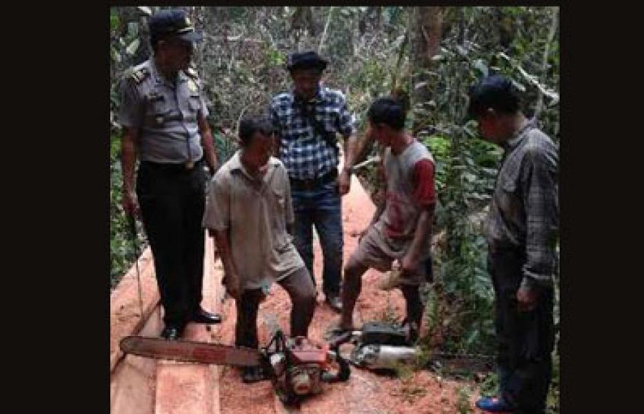 Polsek Sungai Apit Tangkap Dua Pelaku Ilog di Zona Hijau PT Arara Abadi