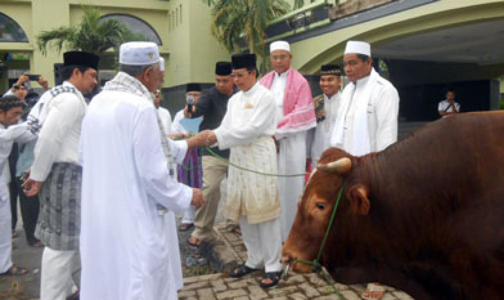 Presiden Sumbangkan Satu Hewan Qurban Untuk Riau