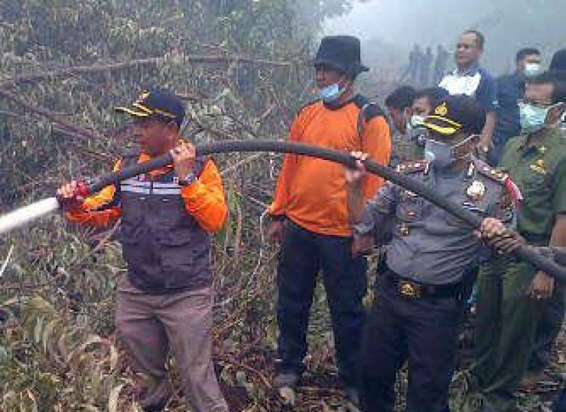 Ribuan Hektar Areal HTI PT RAPP Terbakar Di Desa Lubuk Ogung