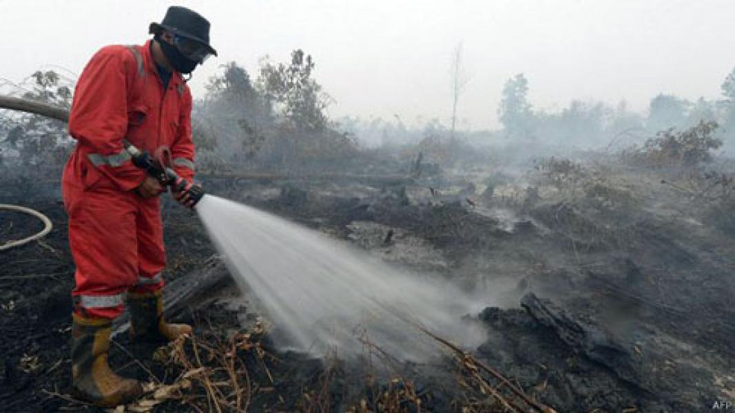 Siapa `Aktor` di Balik Pembakaran Hutan dan Lahan?