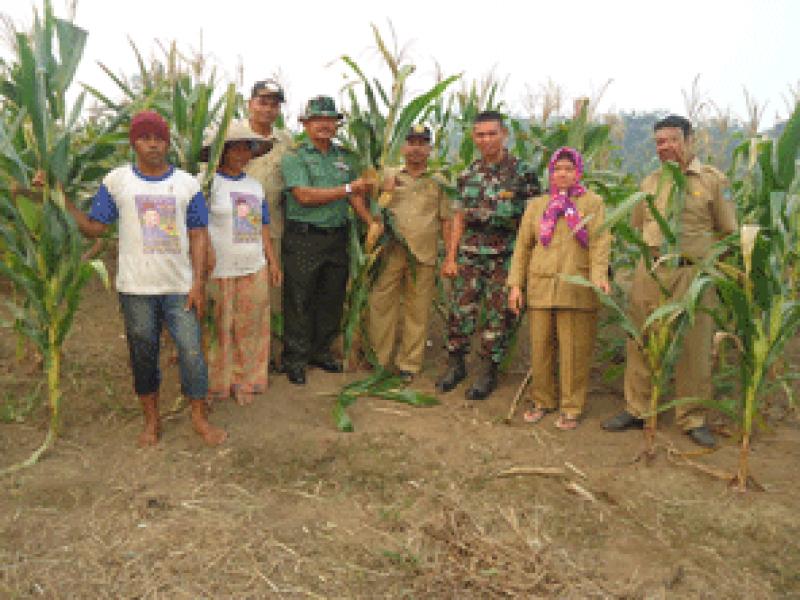 TNI Rohul Bertekad Siap Bantu Pemerintah Mewujudkan Ketahanan Pangan