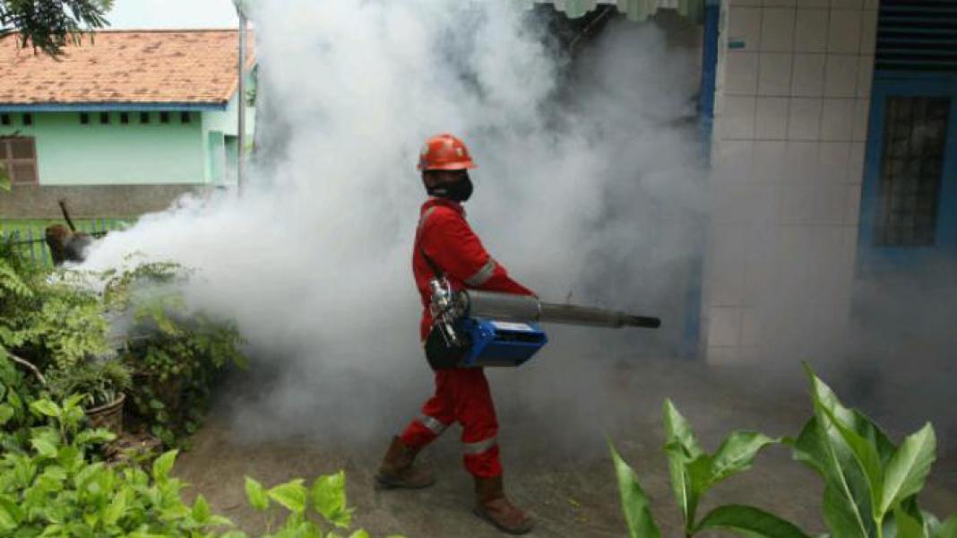10 Nyawa Melayang, Zulkarnain: DBD Perlu Penanganan Serius