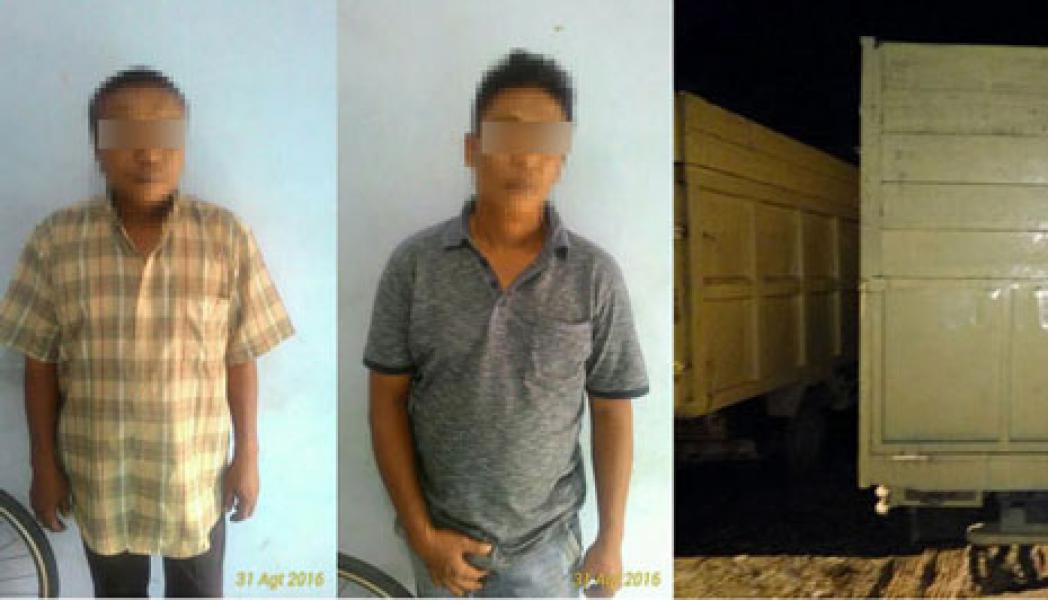 Angkut 16 Kubik Kayu Olahan Diduga Ilog dari SM Kerumuta‎n, 2 Pengemudi Diamankan Polisi  ‎