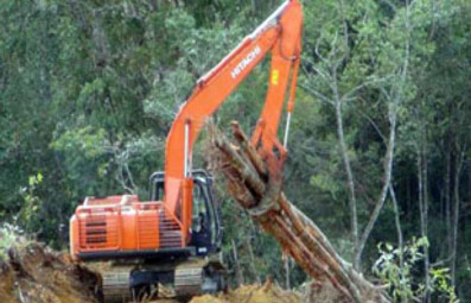 Diduga Didanai PT Tasma Puja, Modus Kelompok Tani Garap HPT Batang Cenaku