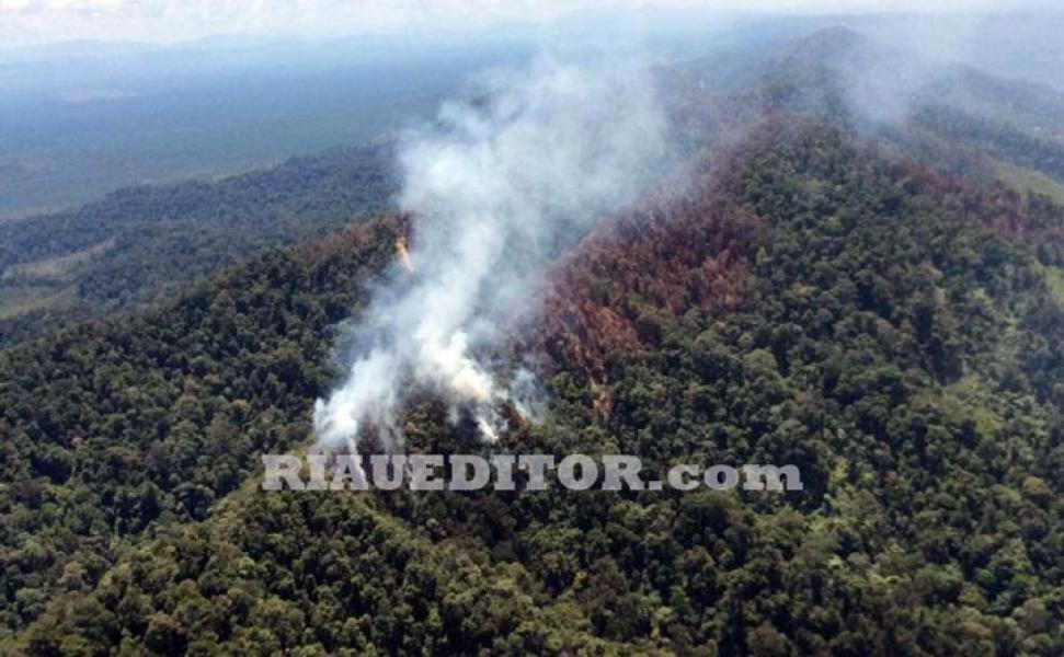 Dirambah, Hutan Lindung Bukit Suligi Riau Terbakar