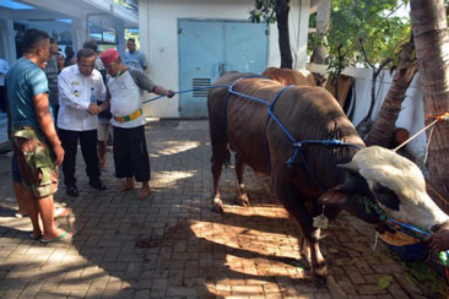 Maknai Idul Adha 1437 H, Bakamla RI Bagikan Daging Kurban