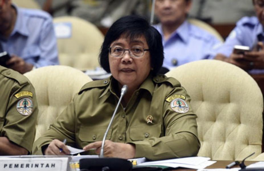 Menteri LHK: Ada Campur Tangan Perusahaan dalam Penyanderaan Pegawai KLHK