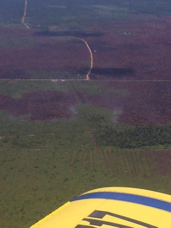 PT APSL Bantah Keras Tudingan Terbakar Lahan dan Terlibat SP3 Polda Riau 