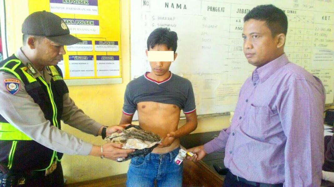 Pengedar Narkoba Asal Binjai Dibekuk Polsek Tapung Saat Razia Cipta Kondisi