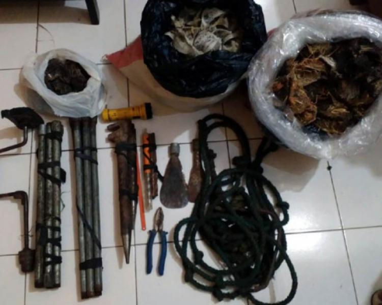 Polres Inhil Tangkap Empat Pelaku Pencurian Sarang Burung Walet