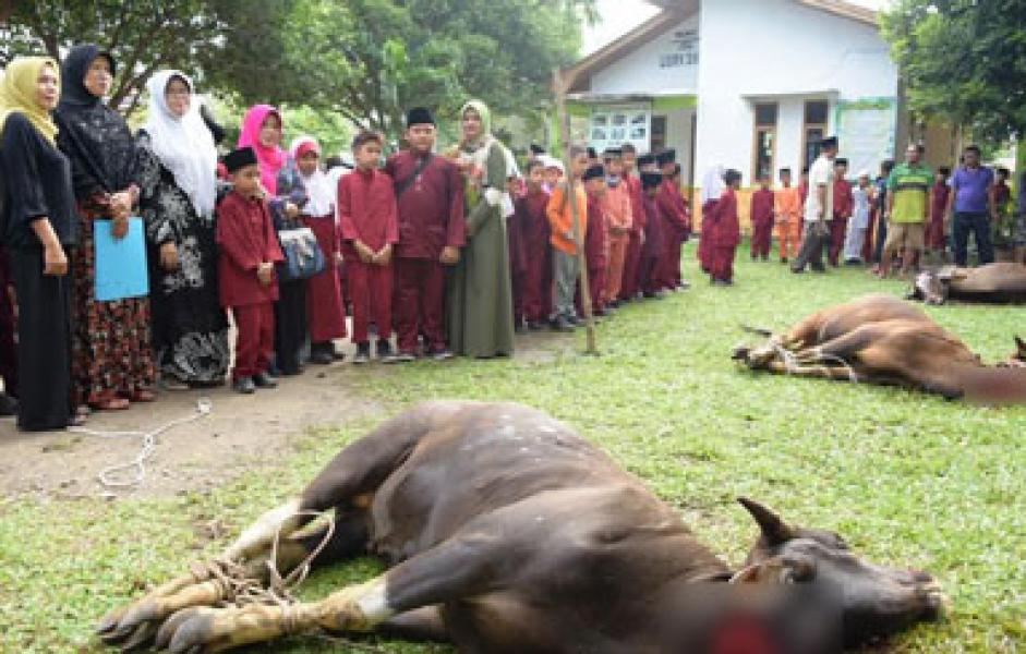 SDN 01 Bengkalis Sembelih 3 Ekor Sapi dan 2 Ekor Kambing Kurban