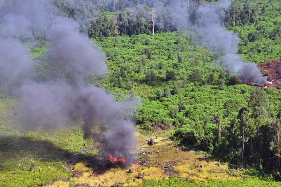 Satgas Karhutla Bakar Dua Pondok Pembalakan Liar di Cagar Biosfer