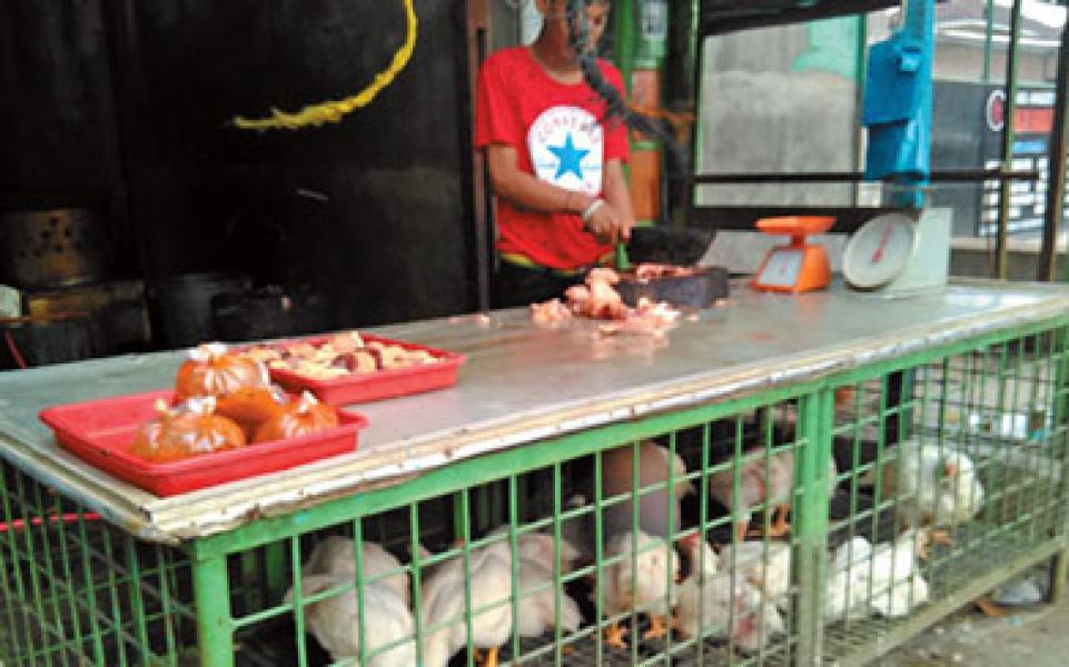Stock Ayam Potong di Riau Cukup, Tapi Harganya Melambung