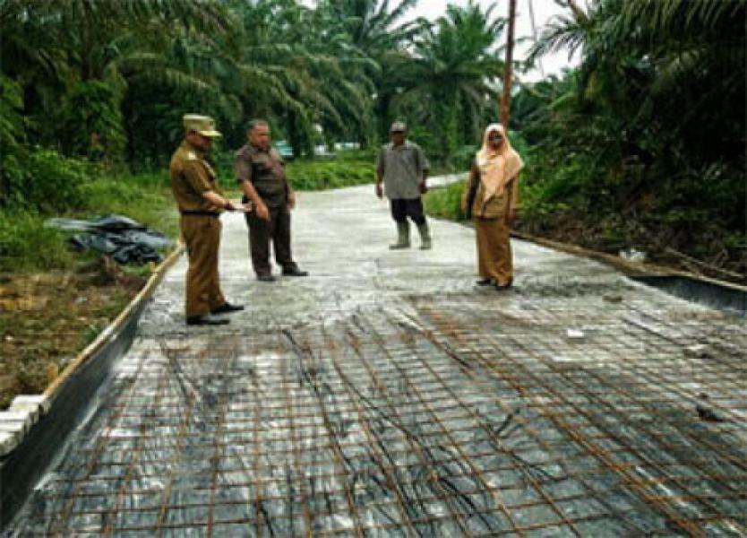 Didanai APBD dan Bankeu Provinsi, Camat Kandis Tinjau Pembangunan Jalan Kampung