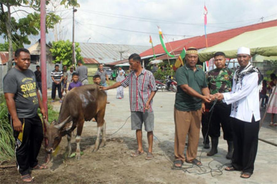 Hari Raya Idul Adha, Kodim 0302 Inhu Sembelih 5 Ekor Sapi