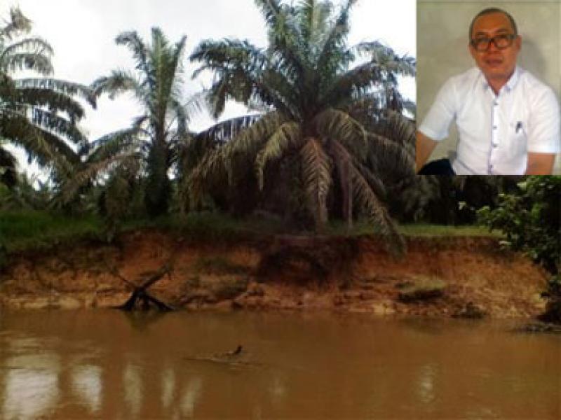 LIRA Pertanyakan Rekomendasi Sertifikasi ISPO Perusahaan di Kampar