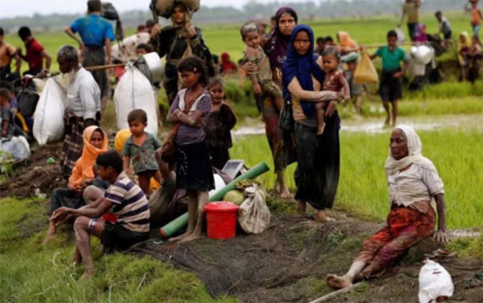 Lebih dari 2.600 Rumah Warga Rohingya Dibakar