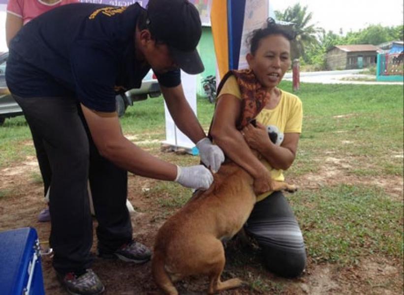 25-30 September, Distan Vaksinasi Rabies Secara Gratis