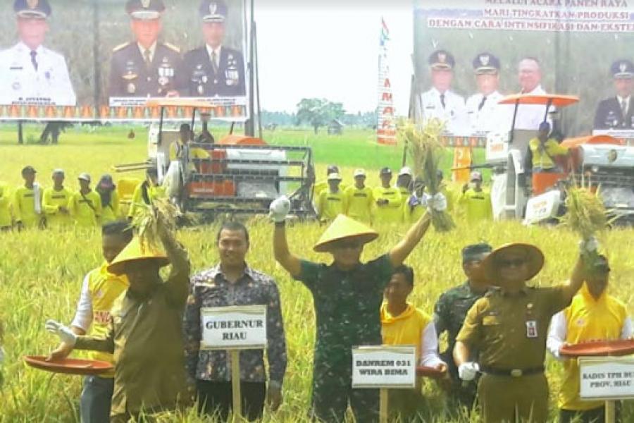 Danrem 031/WB Brigjen TNI Sonny Aprianto Panen Raya Padi di Rokan Hilir