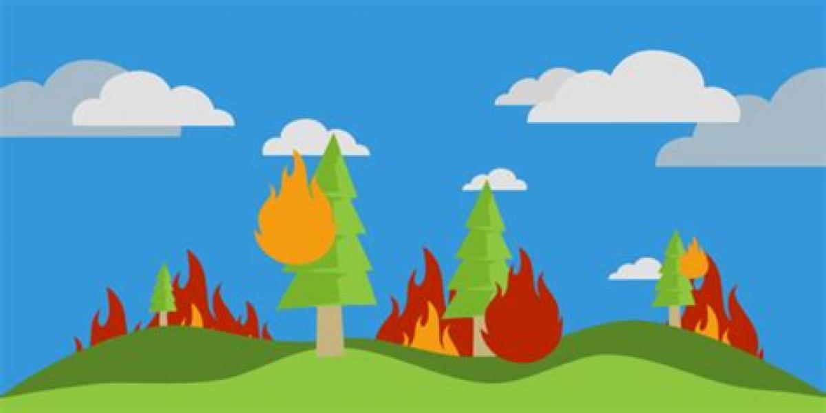 Kebakaran Hutan di Riau, BMKG Mendeteksi 73 Titik Panas