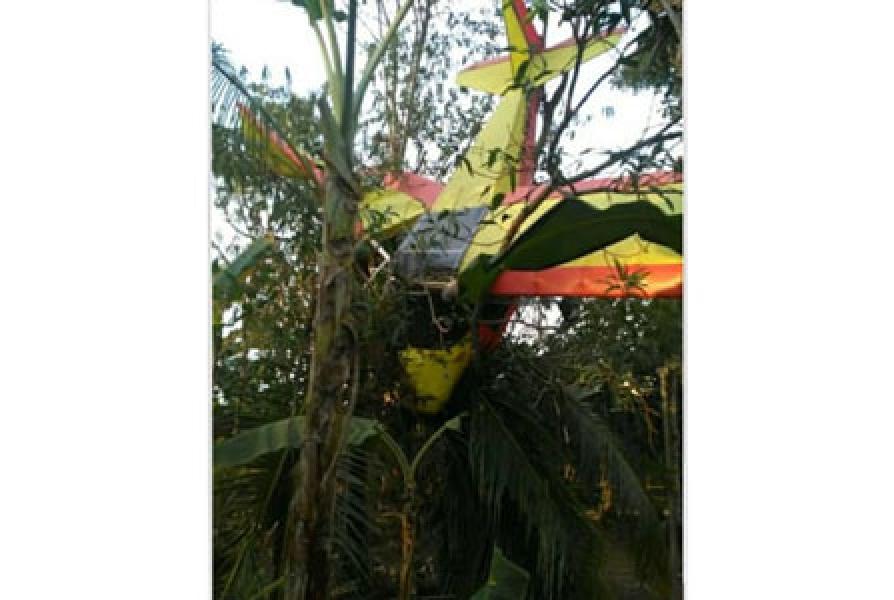 Sebuah Pesawat Latih Ringan Nyangkut di Pohon Kelapa