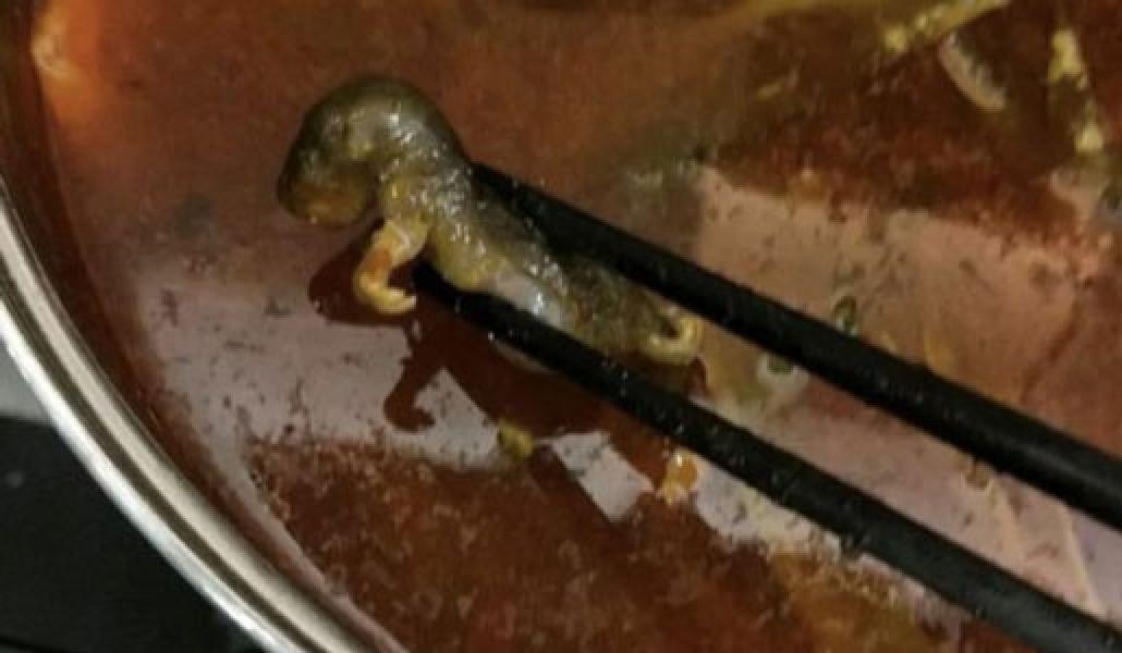Tikus Mati Ditemukan dalam Sup, Nilai Restoran Merosot Rp2,8 Triliun