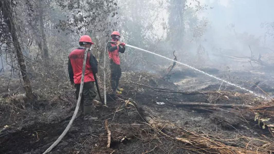 BMKG: Kabut Asap Mulai Ganggu Penerbangan di Aceh