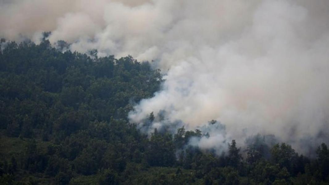Bandara-Bandara Ini Tutup Sementara karena Asap