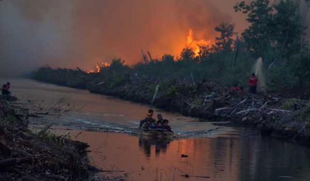 JMGR: Kegagalan BRG Merestorasi Gambut Jangan Lempar ke Masyarakat