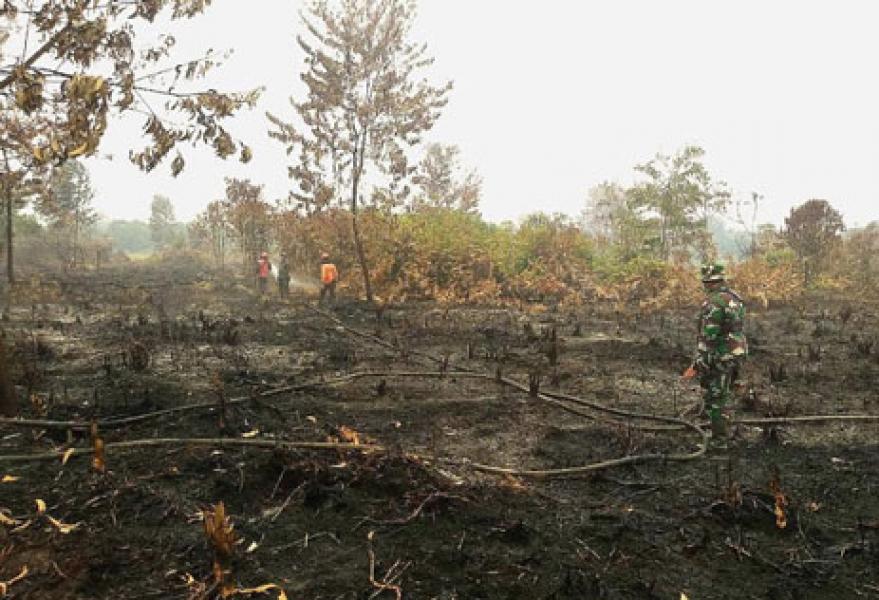 Tim Satgas Karlahut Berjibaku Padamkan Titik Api di Rimbo Panjang