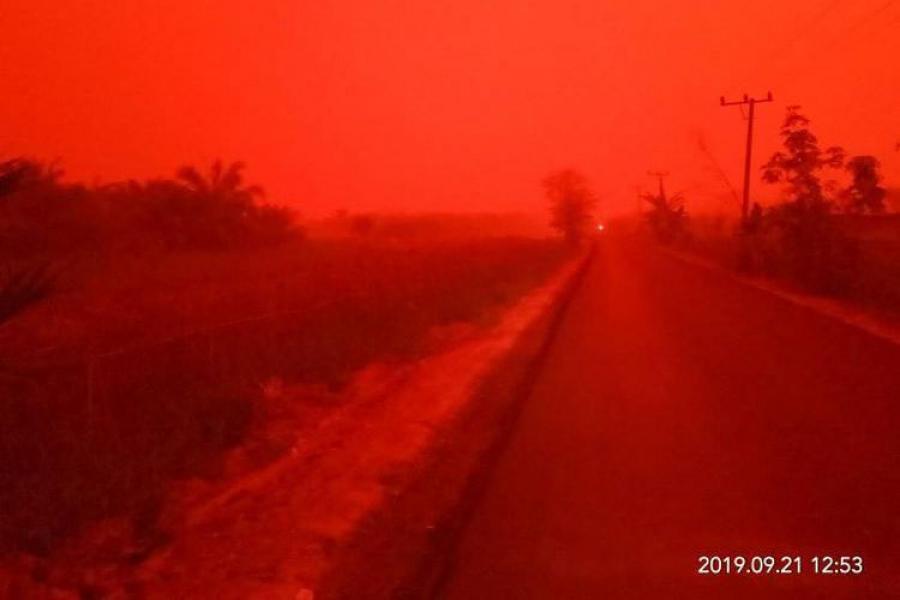 Viral Langit Jambi Berwarna Merah, Ada Apa?