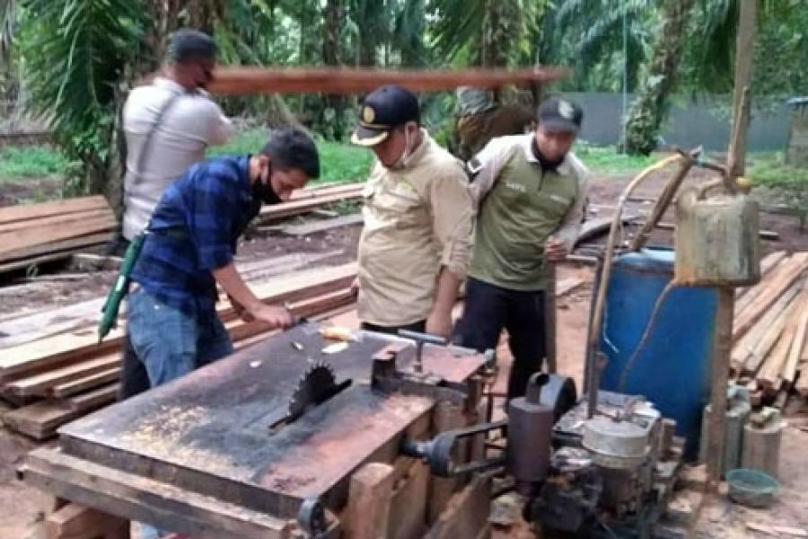 17 m3 Kayu Ilegal dari 3 Sawmill Diamankan Tim Gabungan di SM Siak Kecil
