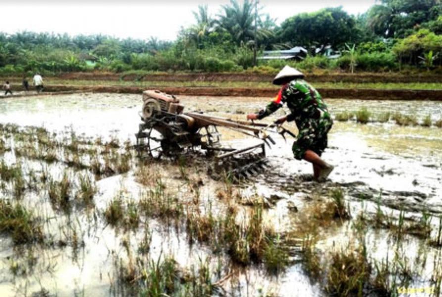 Di Tengah Pandemi Covid 19, Babinsa TNI Turun ke Dalam Kubangan Lumpur