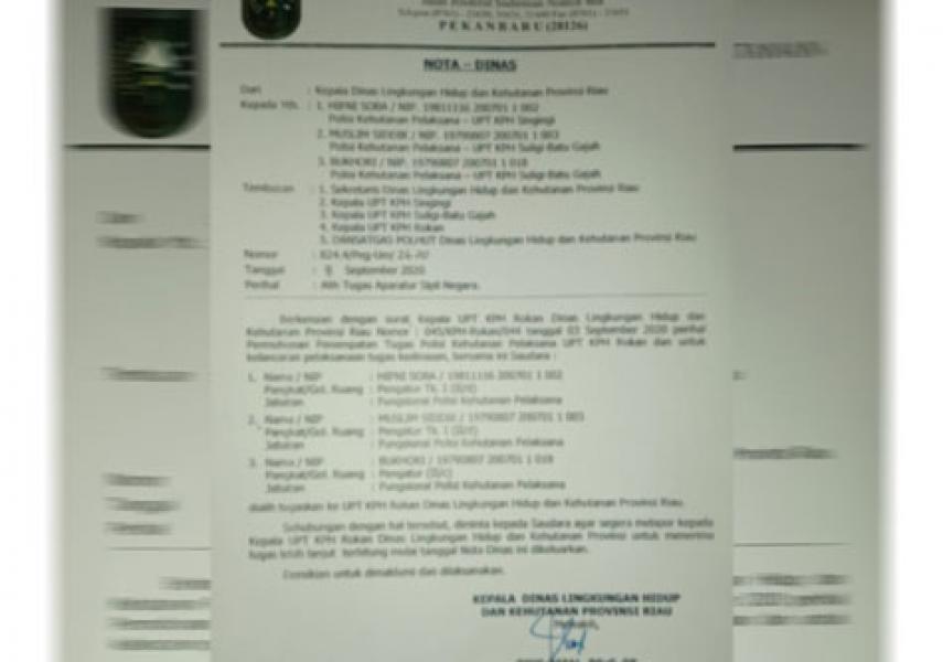Heboh, DLHK `Obok-obok` Penempatan Tugas Polhut Riau, Ada Apa?