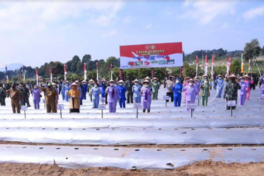 Ketum Dharma Pertiwi Tanam Perdana Ketahanan Pangan Nasional di Cianjur