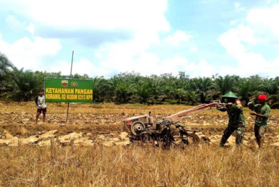 Koramil 02 Rambah Siapkan Lahan Pertanian Antisipasi Krisis Pangan